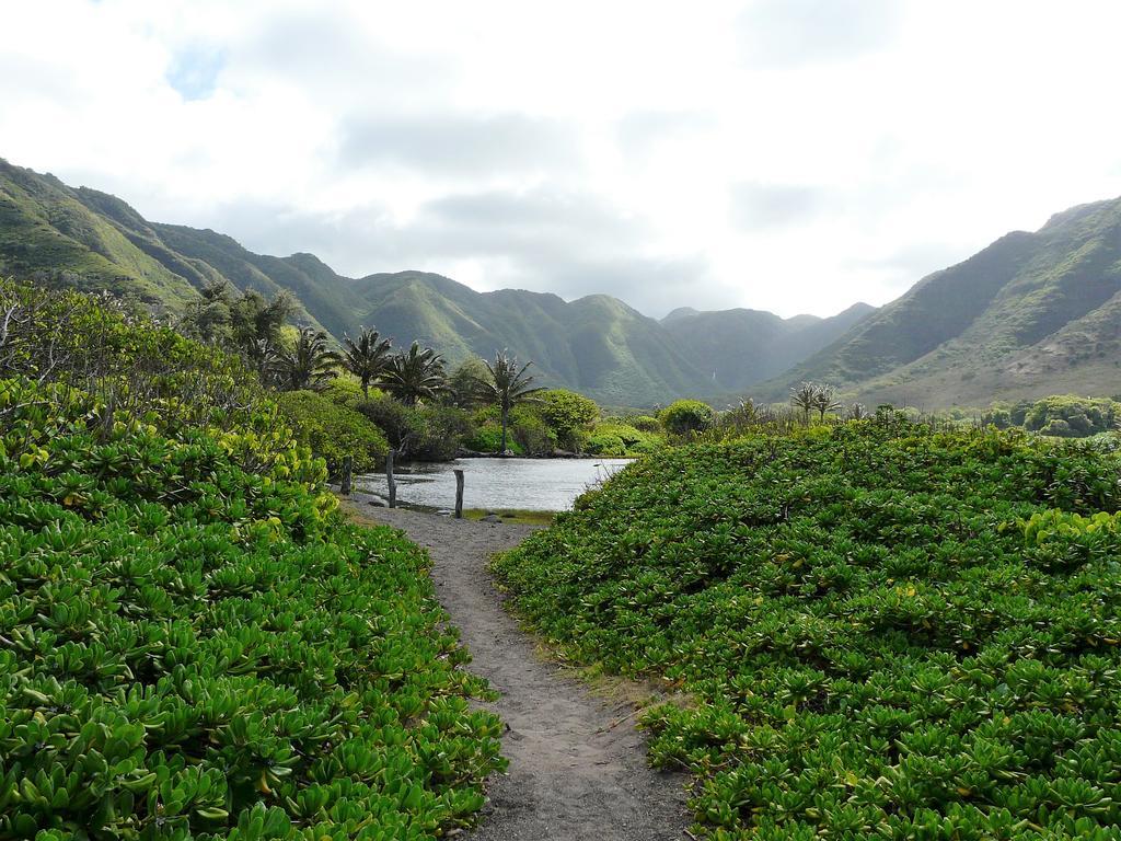 Ka Hale Kealoha Apartamento Kaunakakai Exterior foto